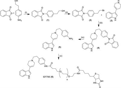 A Novel Biotinylated Homotryptamine Derivative for Quantum Dot Imaging of Serotonin Transporter in Live Cells